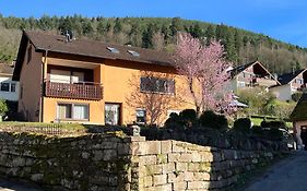 Viva La Wildbad